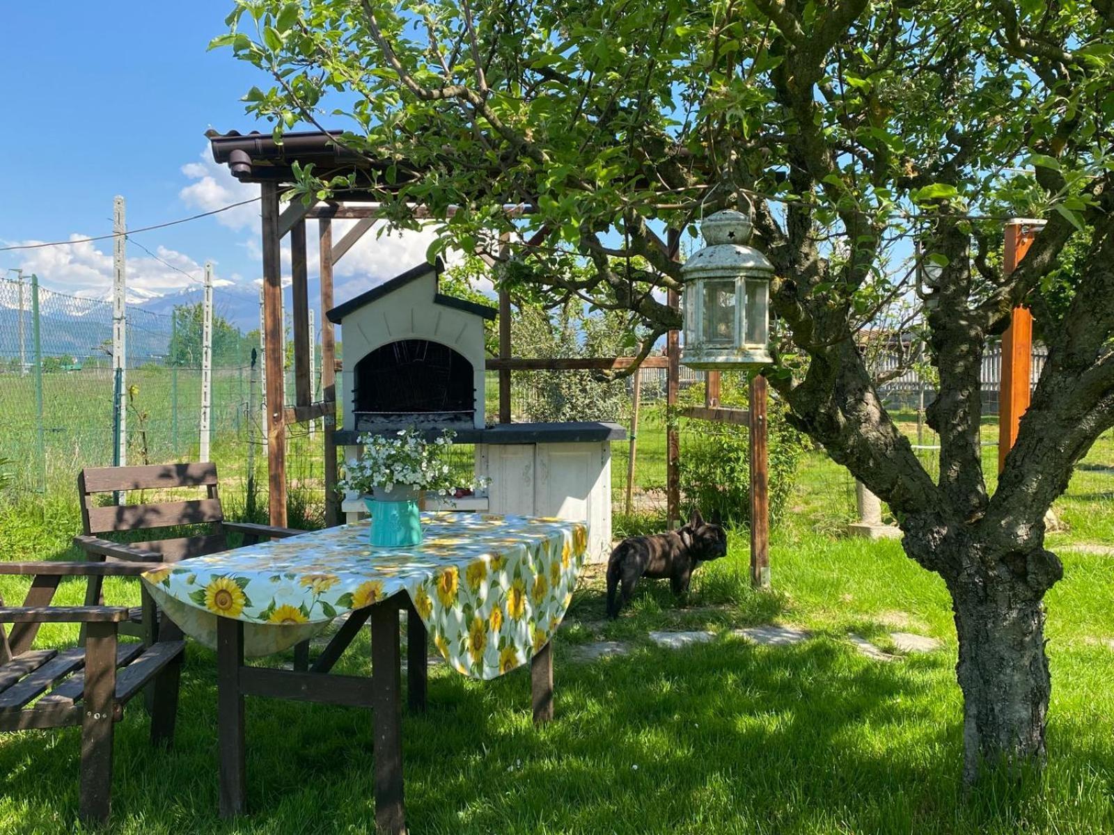 Apartament Orto Del Pettirosso Front Zewnętrze zdjęcie